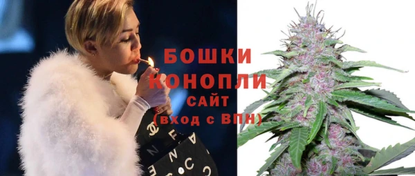 spice Аркадак