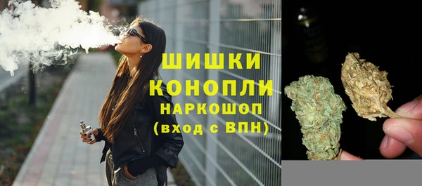 spice Аркадак