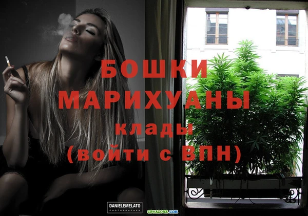 spice Аркадак