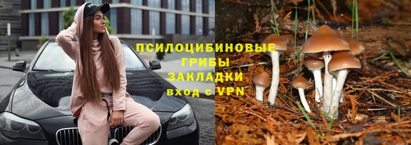 прущая мука Арсеньев